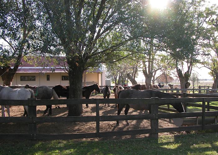 Estancia El Ombu, Argentina