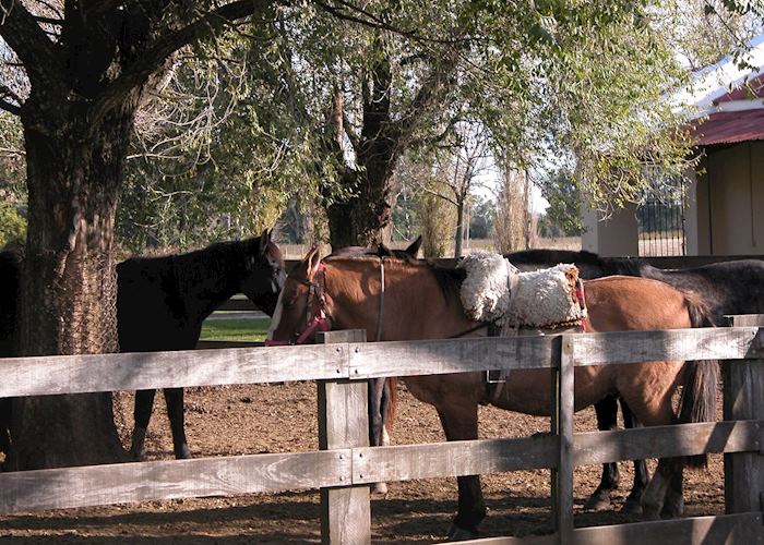 Estancia El Ombu, Argentina
