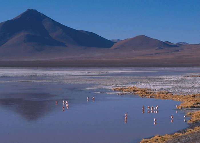 Laguna Colorada, Bolivia