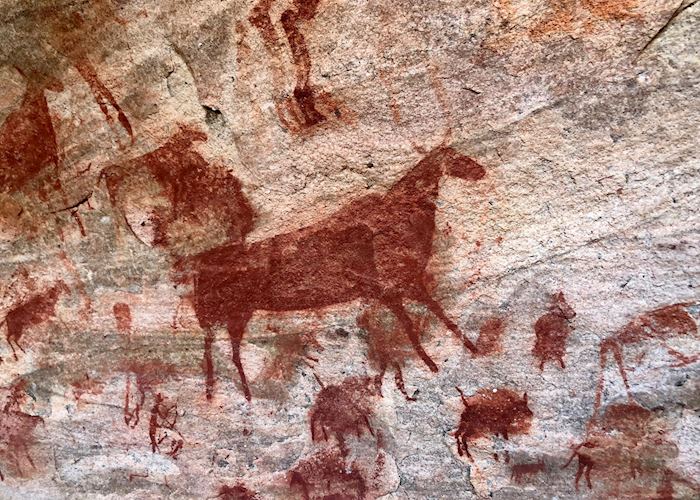 Detail of Bushman paintings