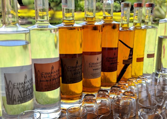 Rum Tasting, Mauritius