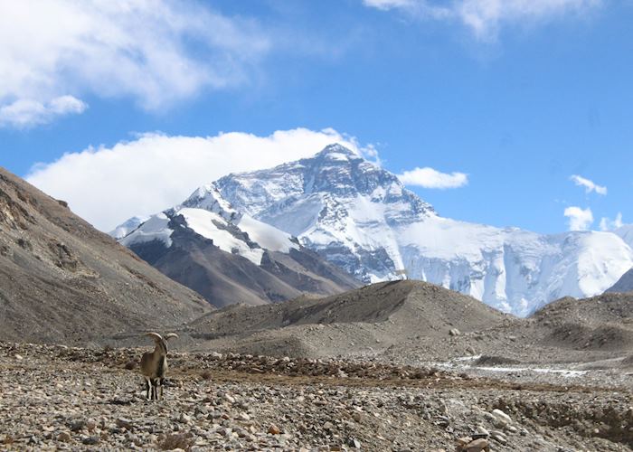 Everest's North Face