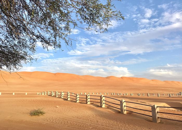 Wahiba Sands
