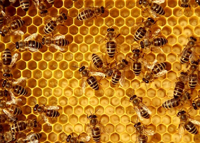 Beehive, Greece
