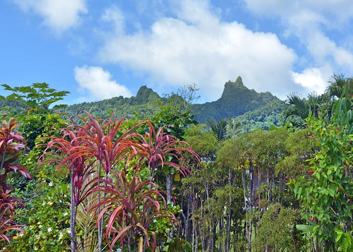 Te Rua Manga (The Needle) on Rarotonga