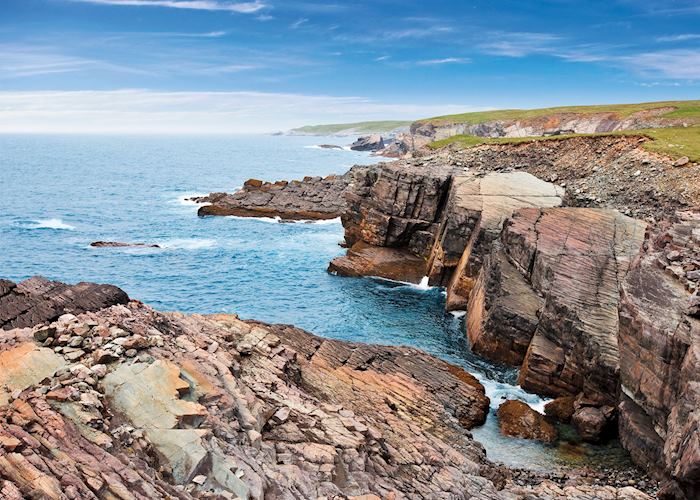 Southern coasts of Newfoundland