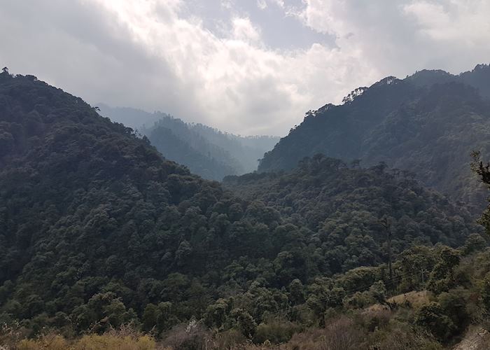 Forested hillsides near Punakha