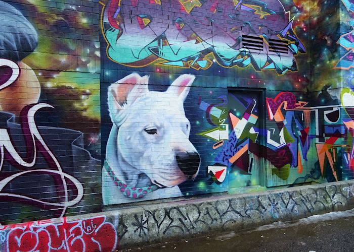 Street art in Toronto
