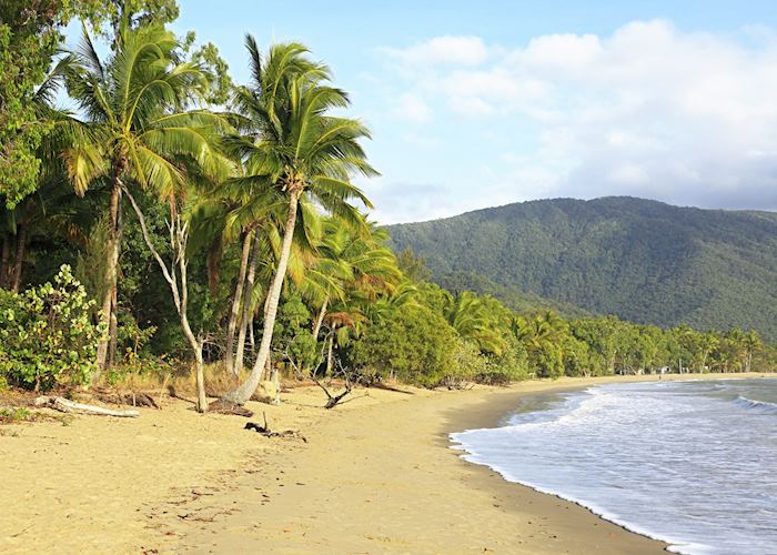 Palm Cove