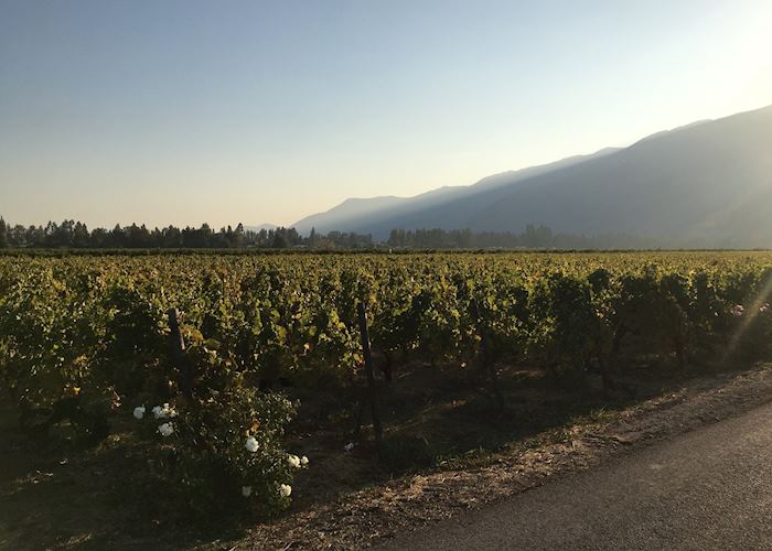 Casa Silva in Colchagua Valley