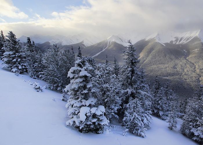 Banff National Park