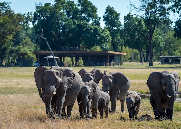 Davison's Camp, Hwange National Park