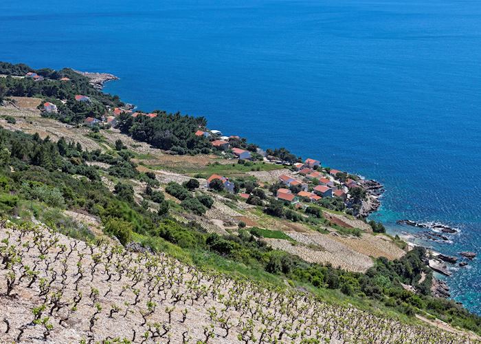 Rocky hillside vineyard, Peljesac Peninsula