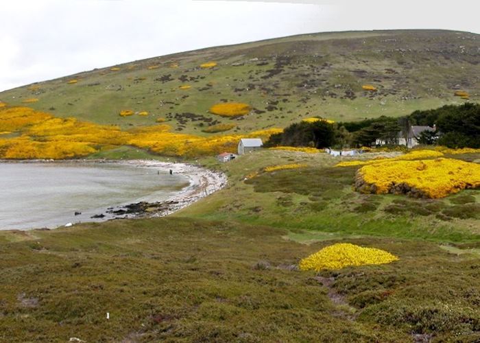 Manager's House, Carcass Island