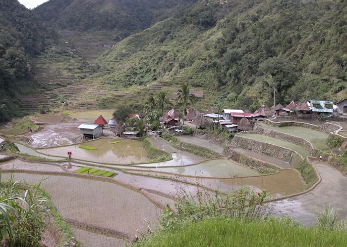 Hill village in the rice terraces, Banaue