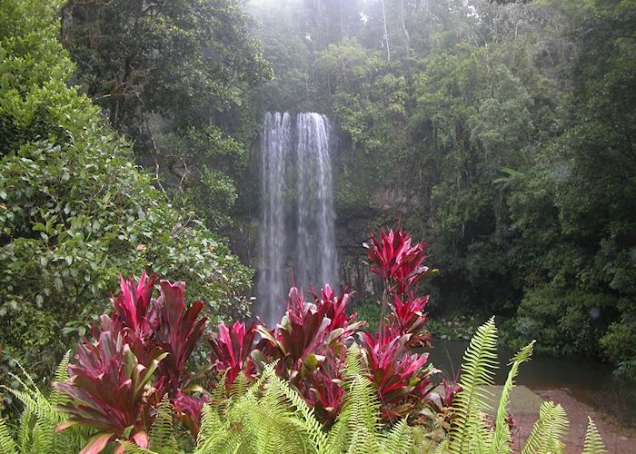 Millaa Millaa Falls, Atherton Tablelands