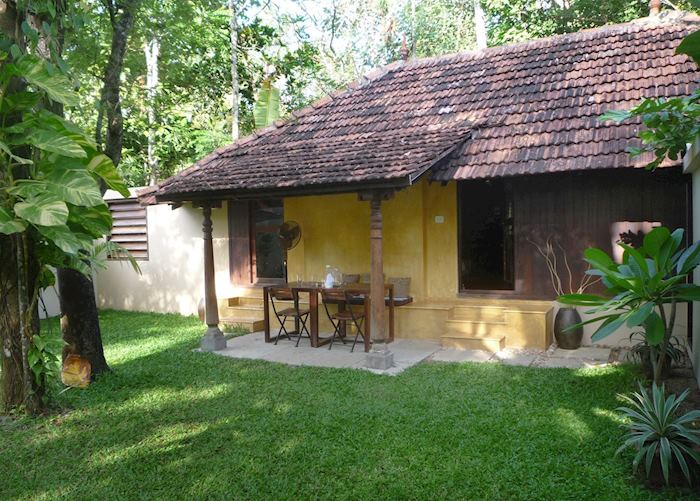 Hibiscus Cottage Garden