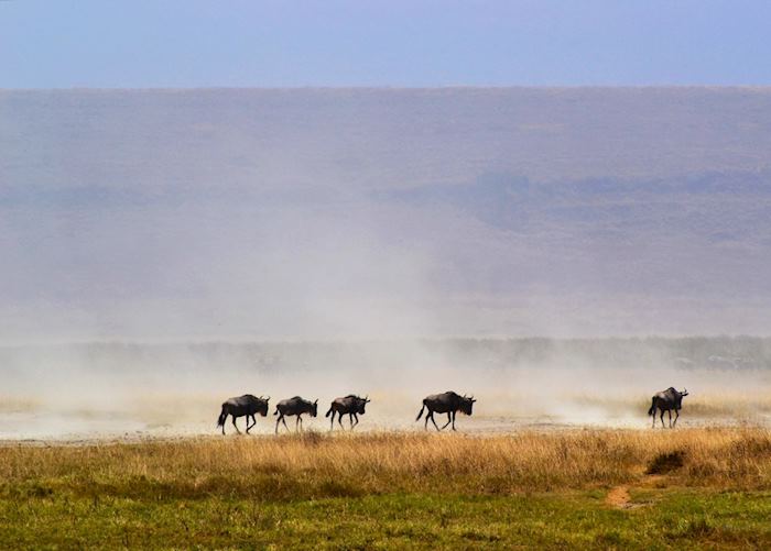 Ngorongoro Conservation Area, Tanzania