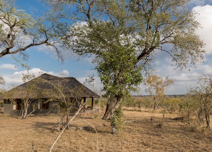 Arathusa Safari Lodge, bush-facing luxury room