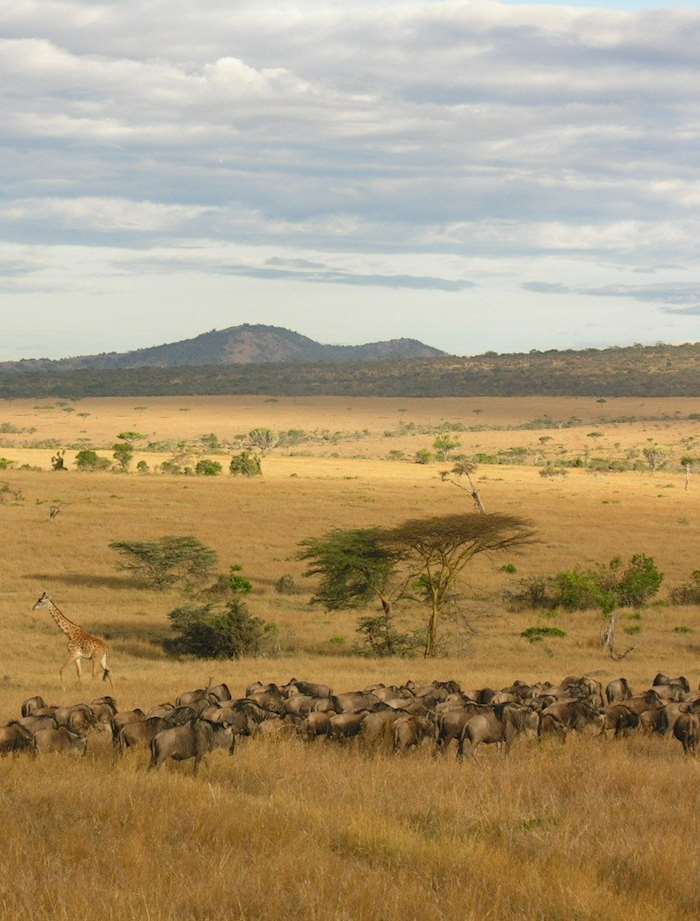 Tanzania Holidays 2024 & 2025 - Tailor-Made from Audley Travel UK