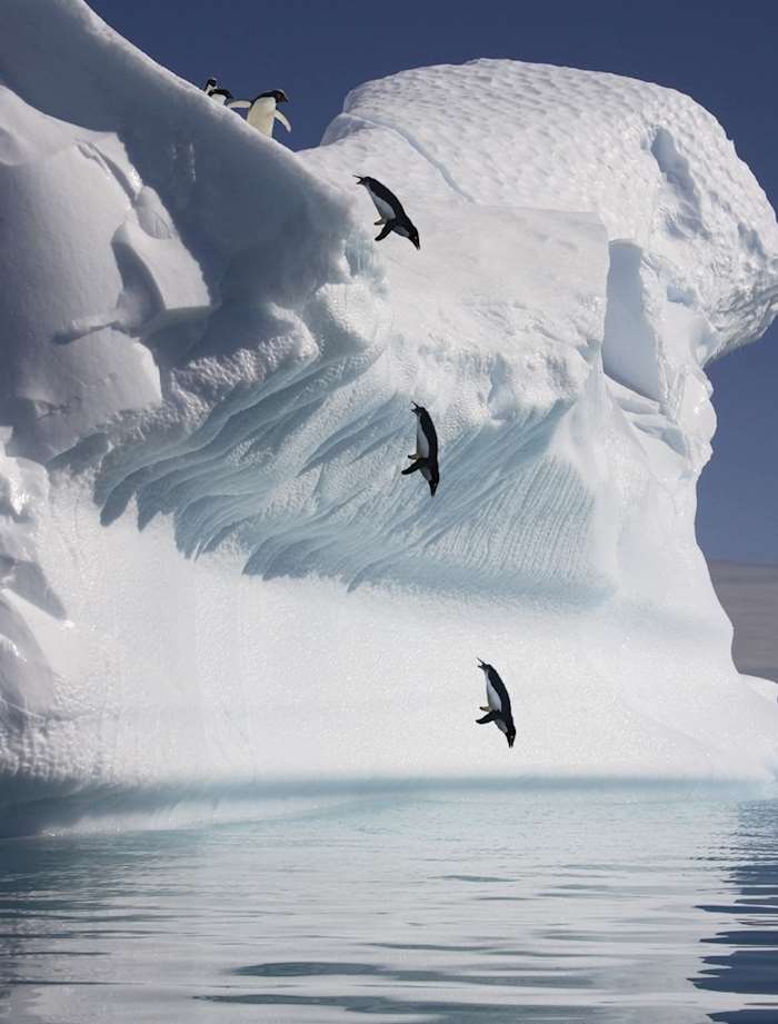 Antarctica Holidays 2024 & 2025 TailorMade from Audley Travel UK