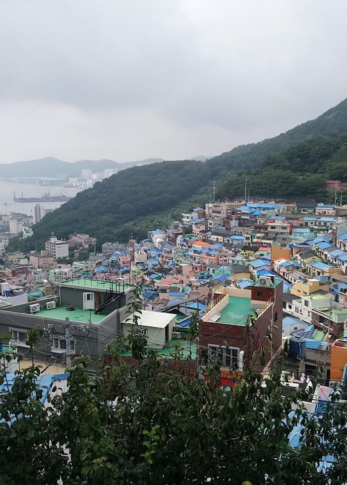 Gamcheon culture village