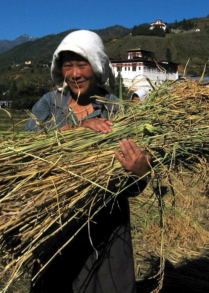 A farmer outside Paro