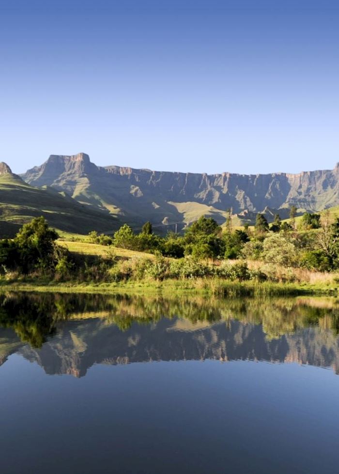 The Amphitheatre, Royal Natal National Park