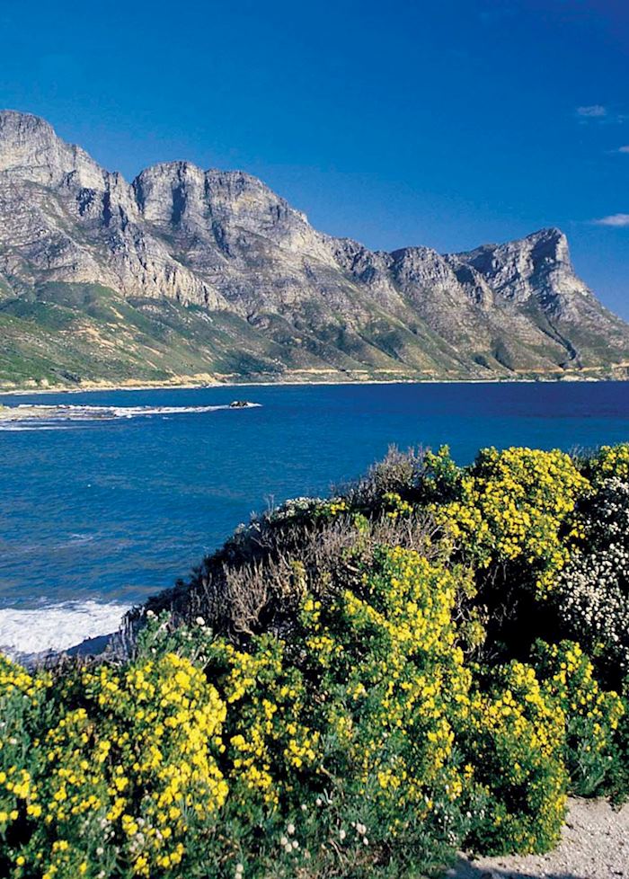 Twelve Apostles, Cape Town