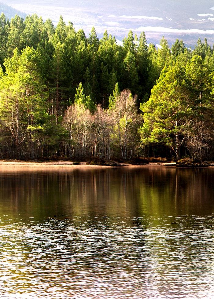 The Cairngorms National Park