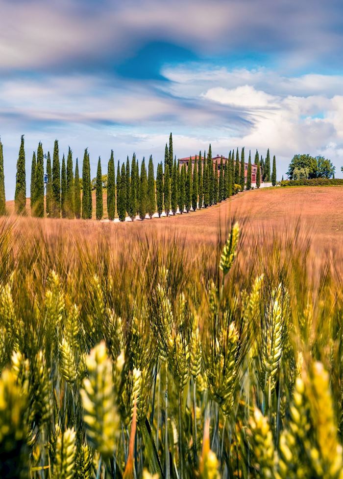 Val d'Orcia, Tuscany