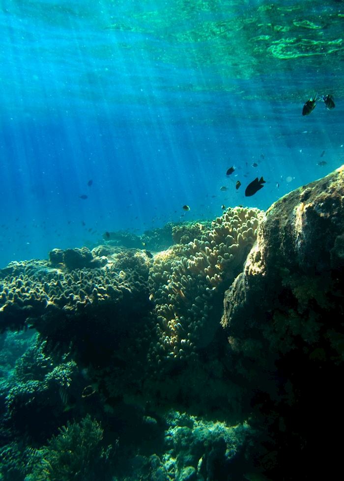 Underwater in Pemuteran Bay, Indonesia