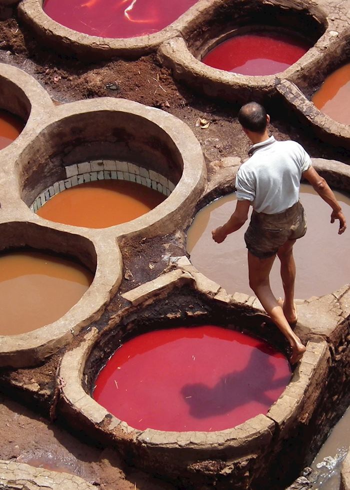 Worker at tanneries, Fez, Morocco