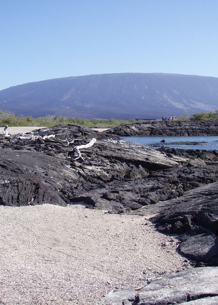 Fernandina, Galapagos Islands, Ecuador