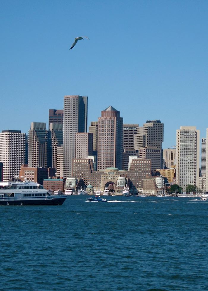Boston Skyline
