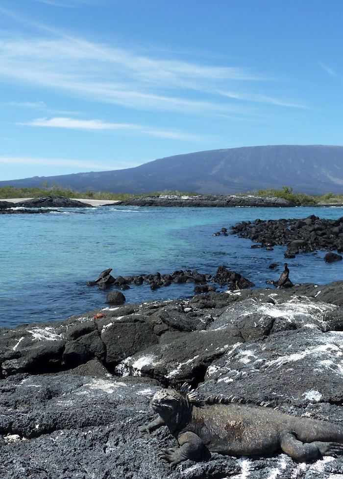 Galapagos island-hopping tour | Audley Travel