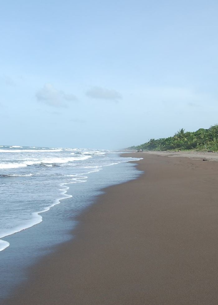 Coastline, Tortuguero National Park, Costa Rica