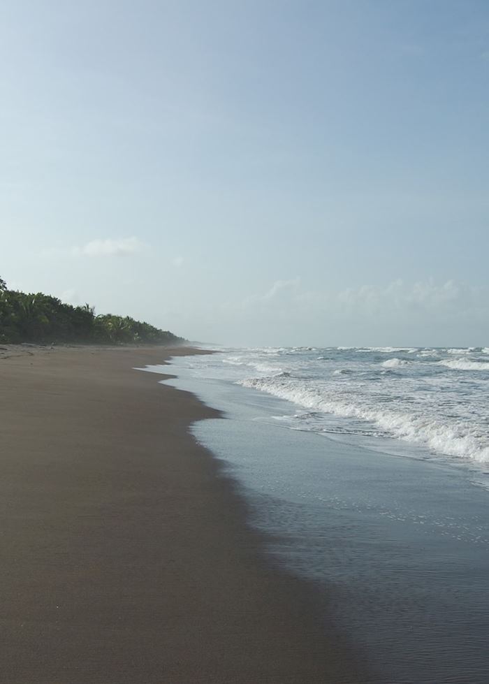 Tortuguero National Park, Costa Rica