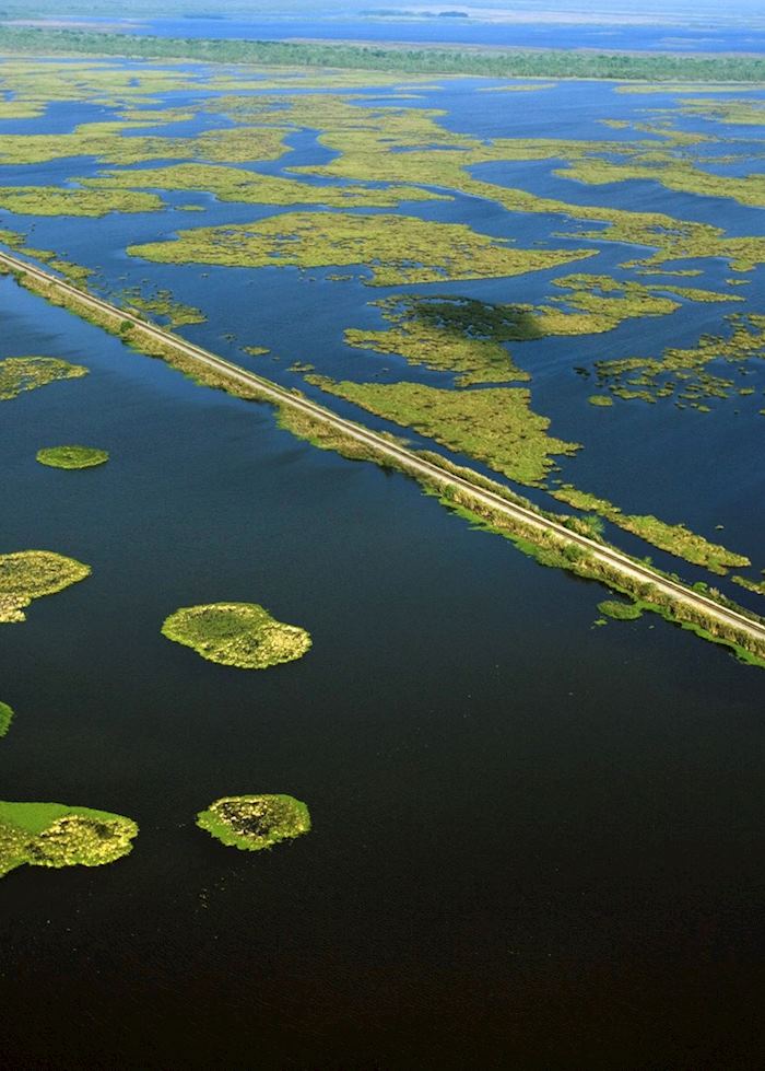 Aerial view of swamplands on the Mississippi River, Louisiana