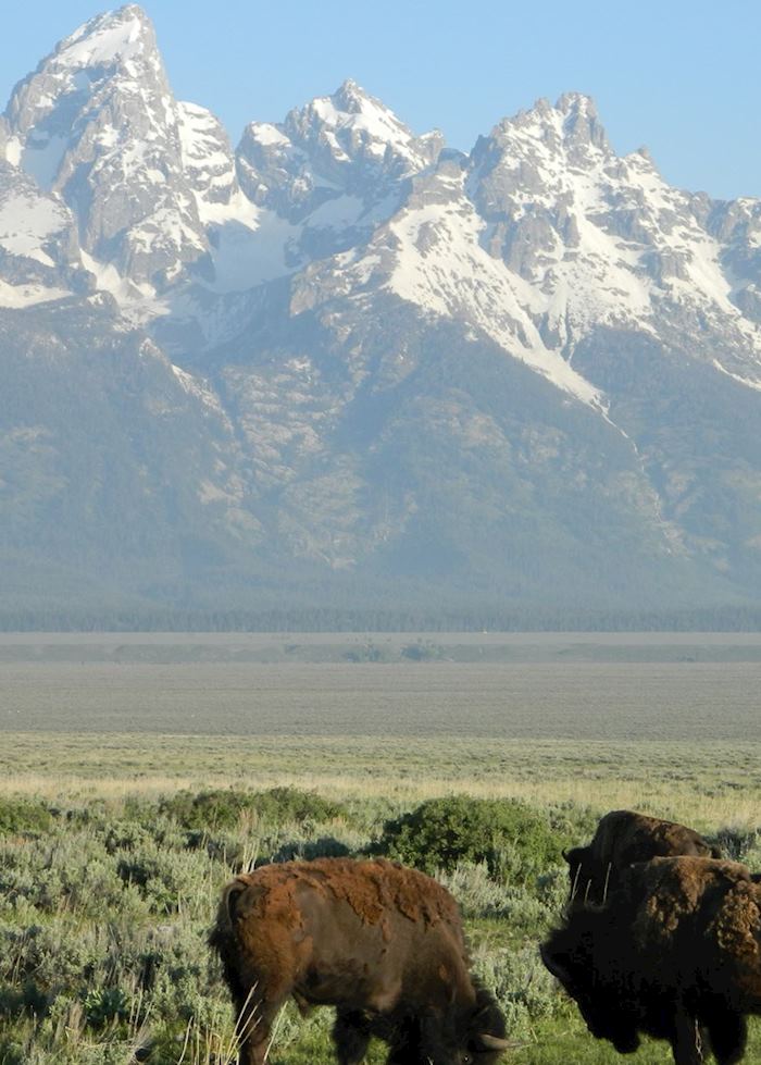 Jackson - Grand Teton National Park, USA