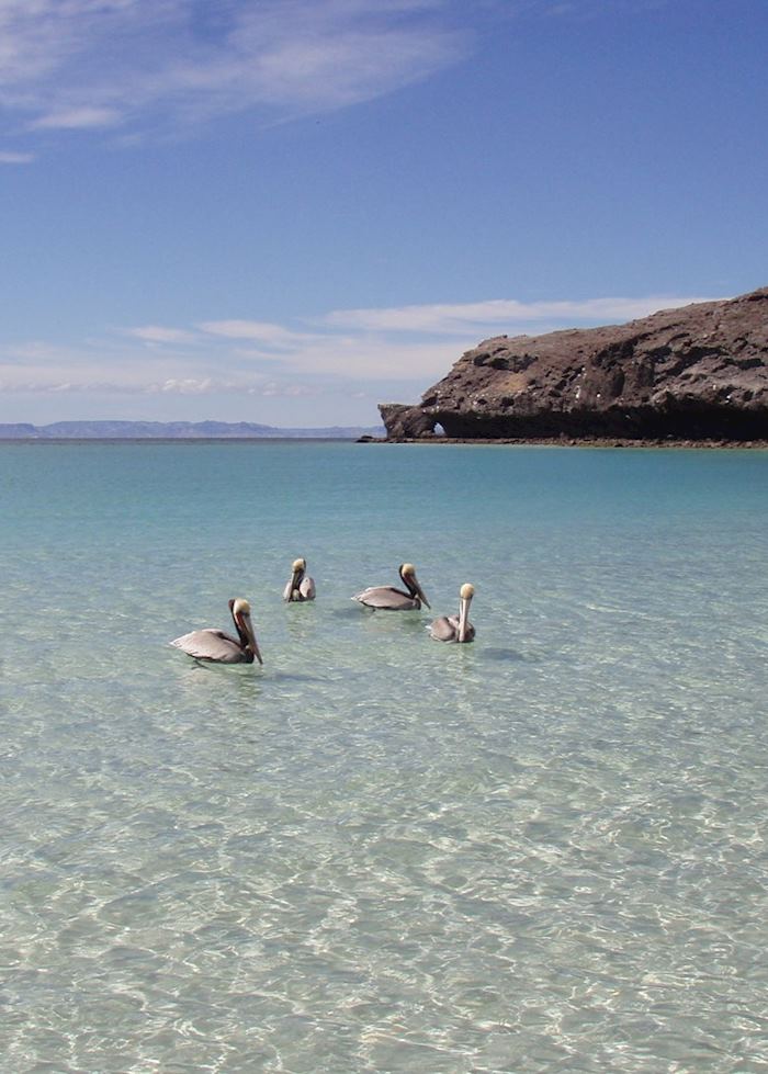 Islands close to La Paz, Baja California