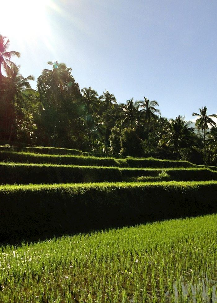 Munduk, Indonesia