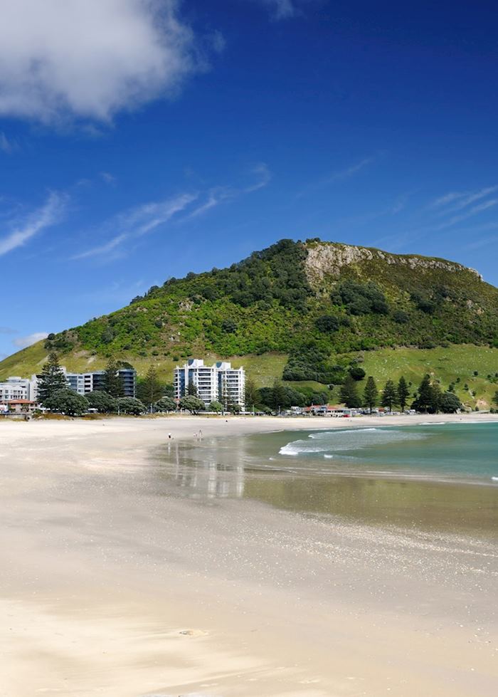 Bay of Plenty