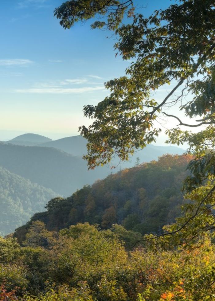 Shenandoah National Park