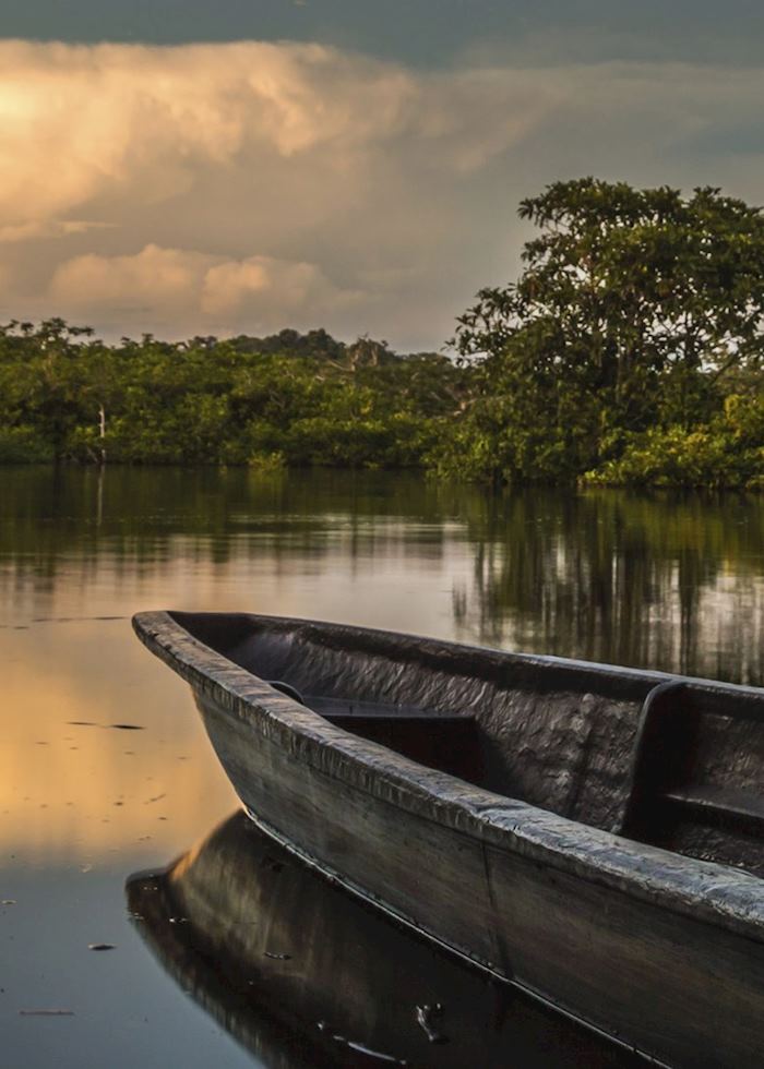 Amazon rainforest