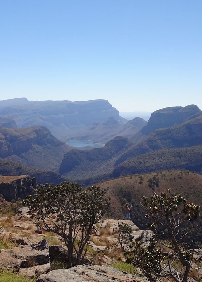 Lowveld viewpoint