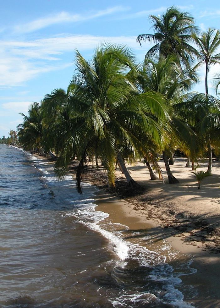 Coastal Belize