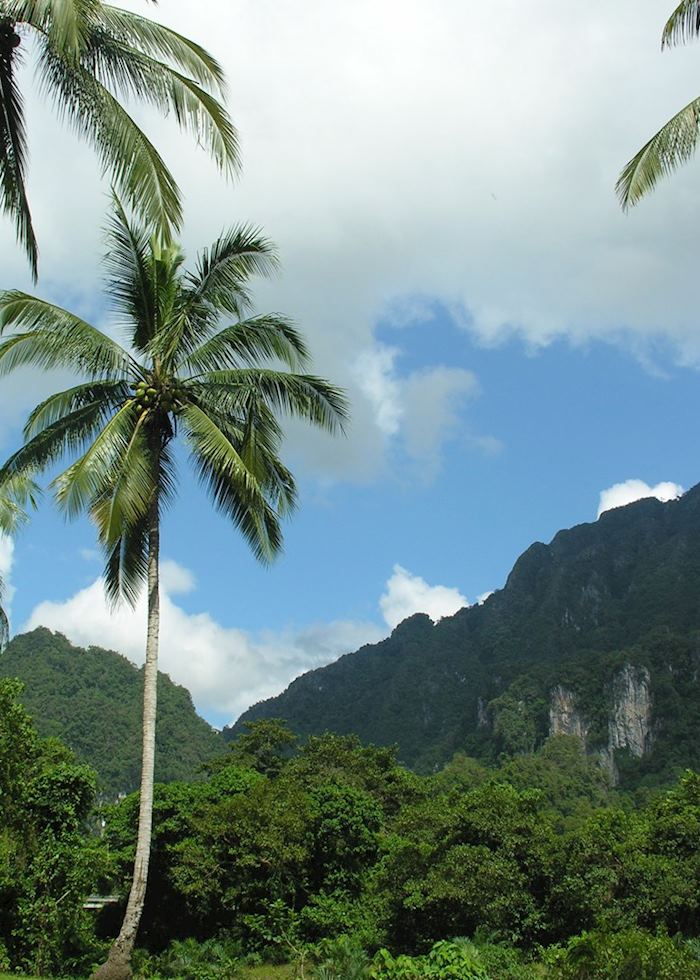 Khao Sok National Park, Thailand
