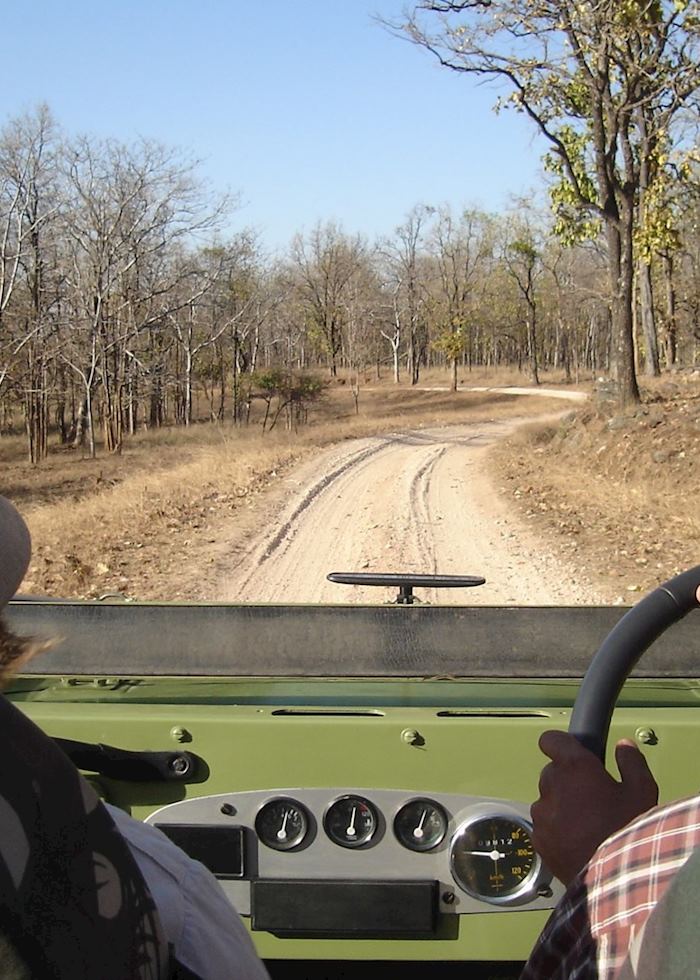 Pench National Park, India