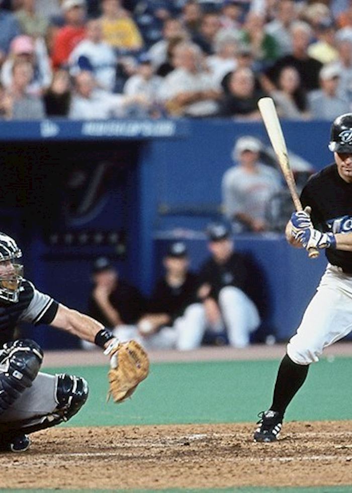 Blue Jays Baseball